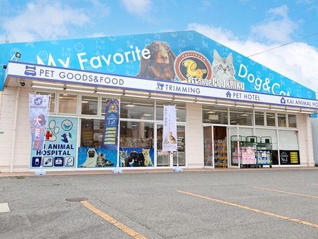 Bs job img 2 20260414141637260