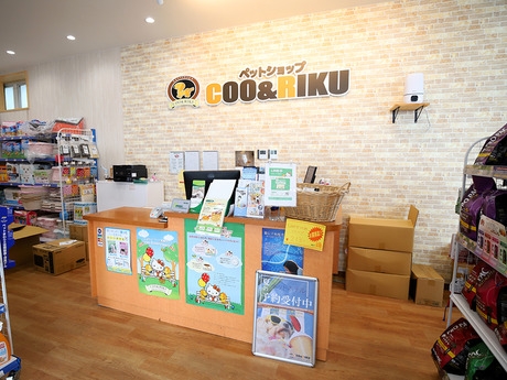 Bs job img 3 20260414141637465