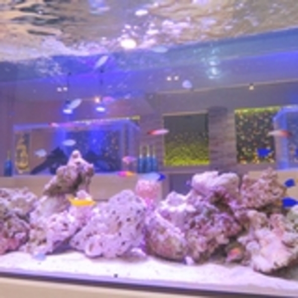 Bs job img 3 20260423132949598