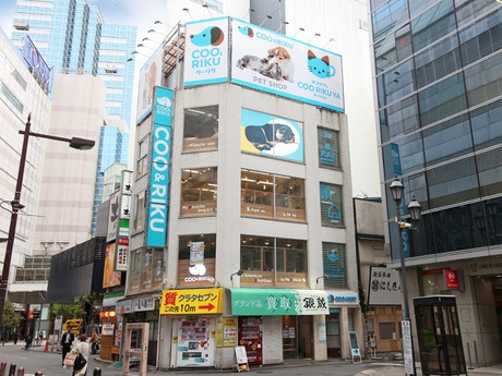 Bs job img 2 20260515151958487