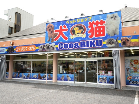 Bs job img 2 2026050106060732