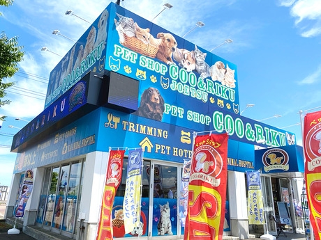 Bs job img 2 20260501060704532