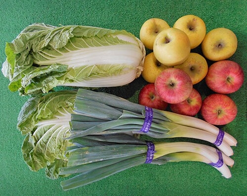 集荷所で野菜の集荷