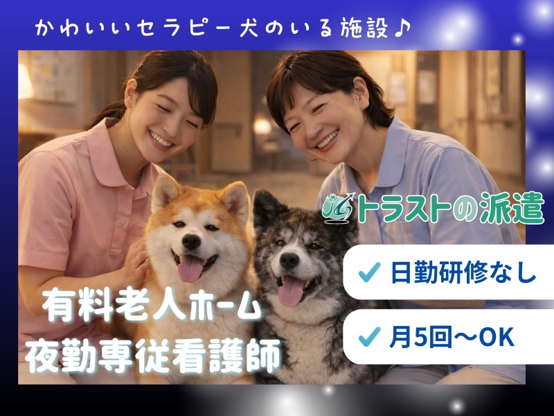 夜勤専従・医療特化施設の正看護師