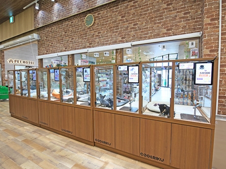 Bs job img 2 20260602114242691