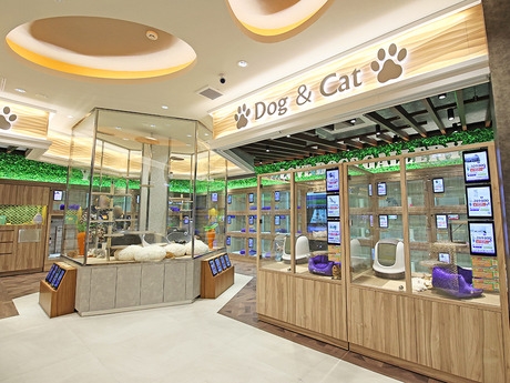 Bs job img 3 20260602114343376