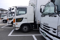 4tゲート車でドラッグストアへのルート配送ドライバー