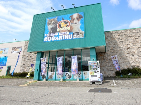 Bs job img 2 20260701055458285