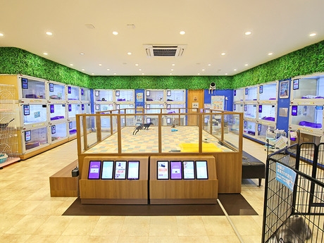 Bs job img 2 20260701055515479