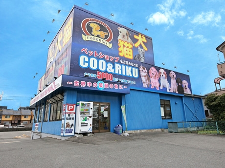 Bs job img 2 20260801071527160
