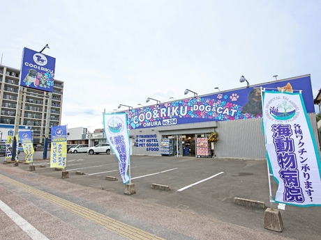 Bs job img 2 20260801071536319