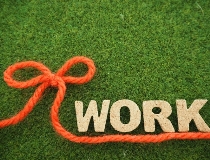 Bs job img 1 20260803144057403