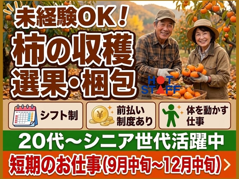 一般事務スタッフ