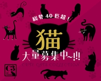 Barでのカウンターキャスト