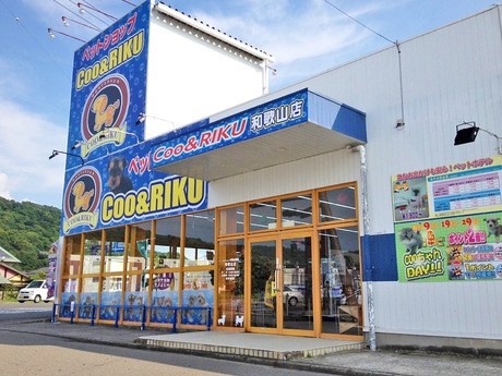 Bs job img 2 20260901001401204