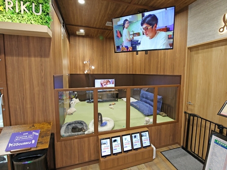 Bs job img 2 20260901001405332