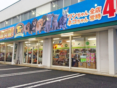 Bs job img 2 20260901001405767