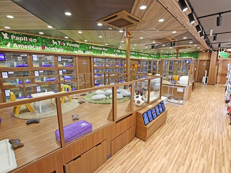 Bs job img 3 20260901001405953