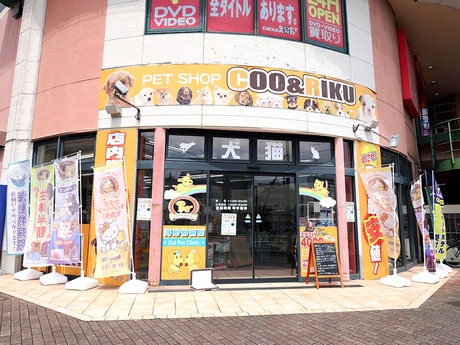 Bs job img 2 20260901001422491