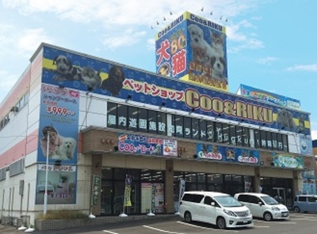 Bs job img 2 20260901001437457