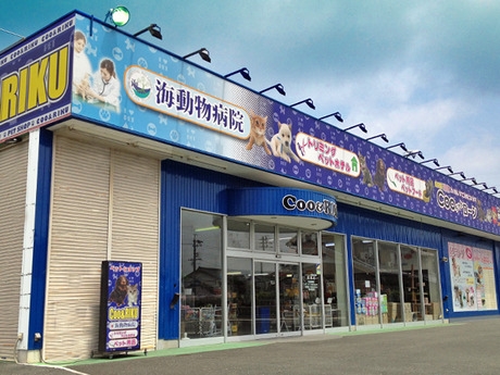 Bs job img 2 20260901001438751