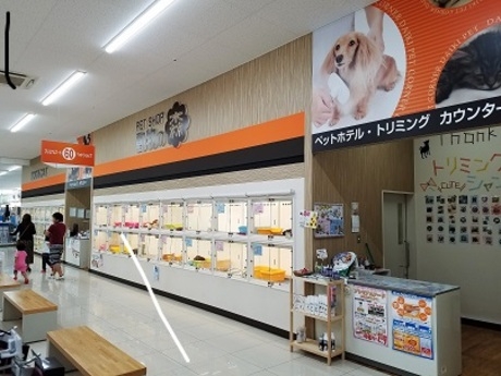 Bs job img 2 20260901001438814