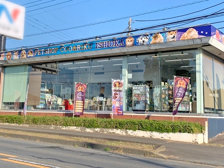 Bs job img 2 20260901001449477