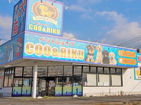 Bs job img 2 20260901001449785