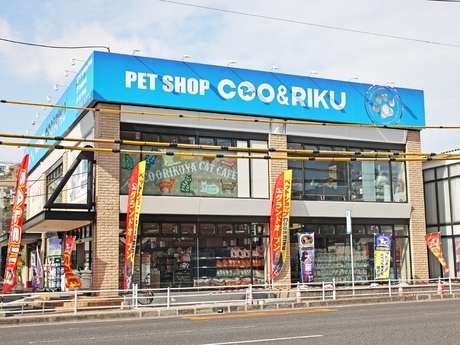 Bs job img 2 20260901001450115