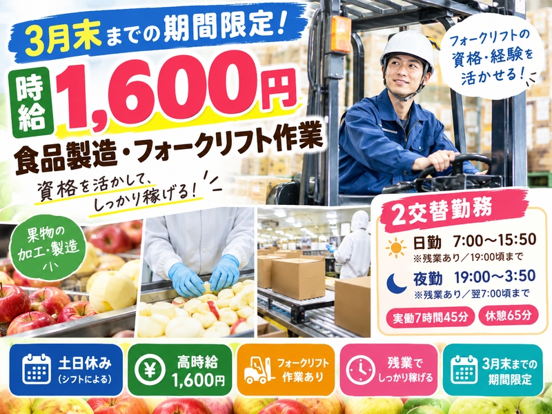 食品工場のフォークリフト作業スタッフ
