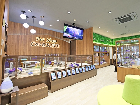 Bs job img 3 2026100811342810