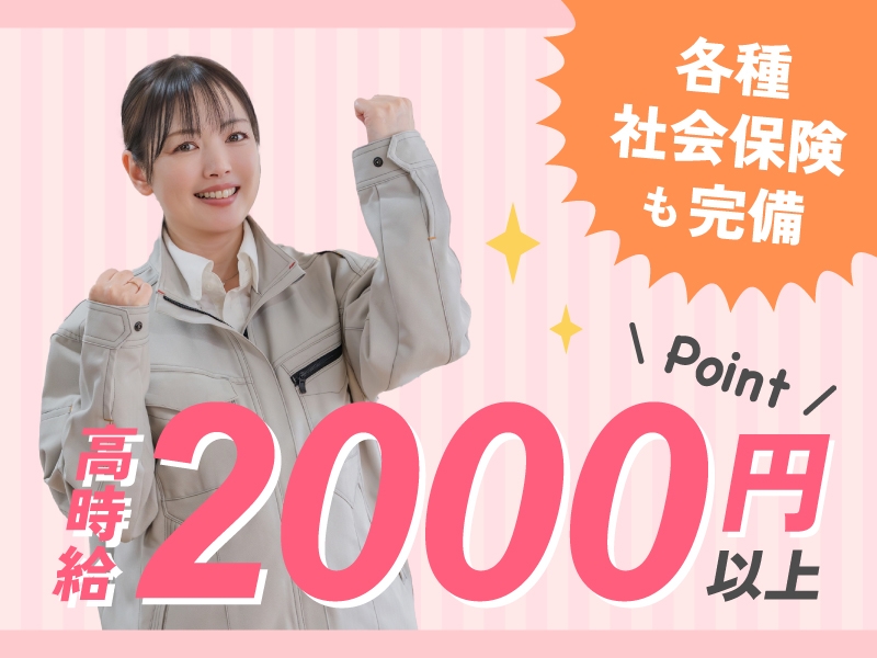 株式会社シスムエンジニアリングのアルバイト情報